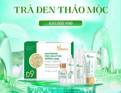 Khám phá thành phần nổi bật của Combo Trà Đen Thảo Mộc N Beauty